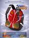 Школьный рюкзак Sunny Happy SH2-357 Roblox SH2-357 фото 3